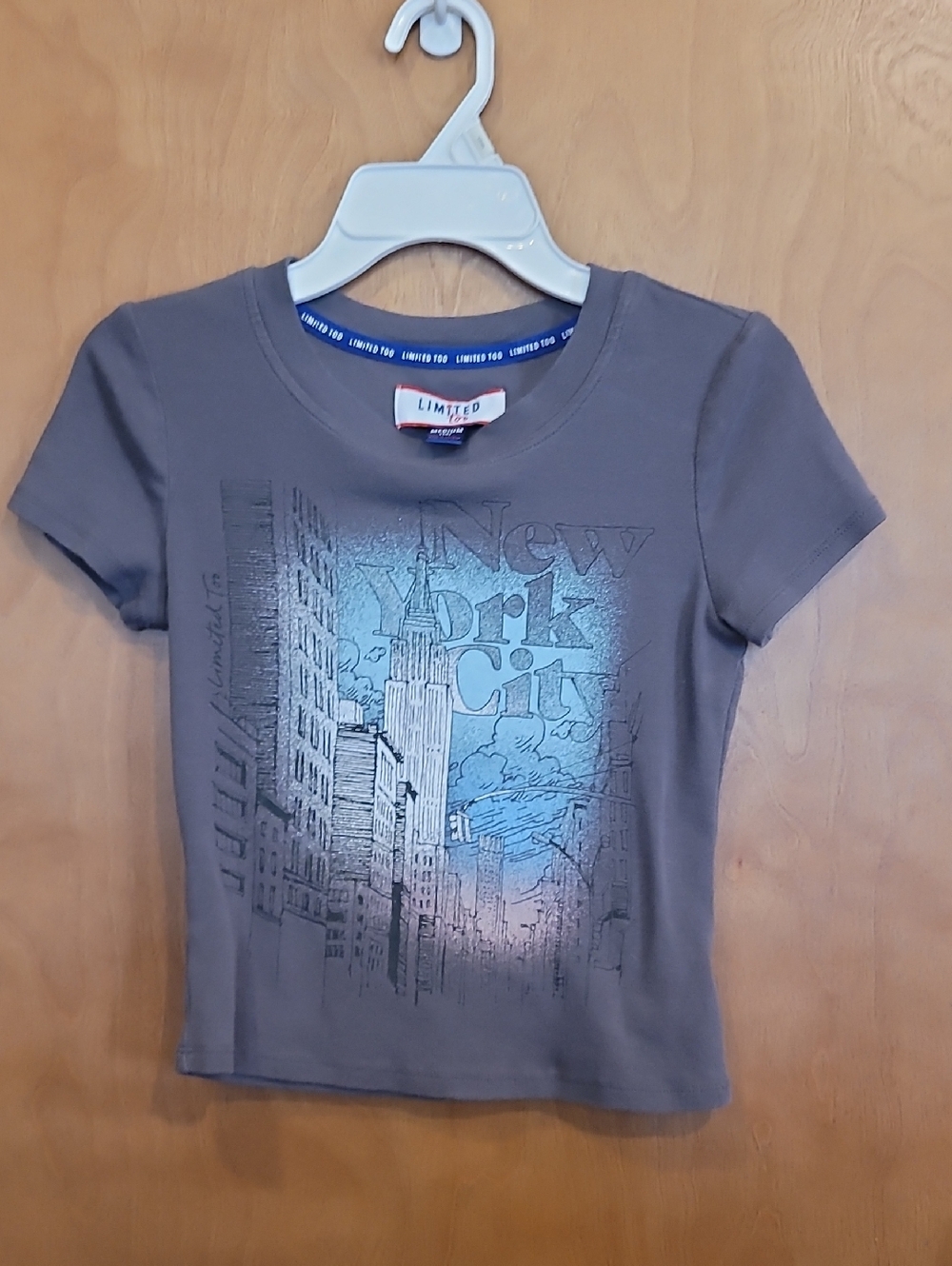 The Limited Gray Tee with Blue Skyline Graphic